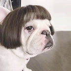 Silk Feline Fashion Wig