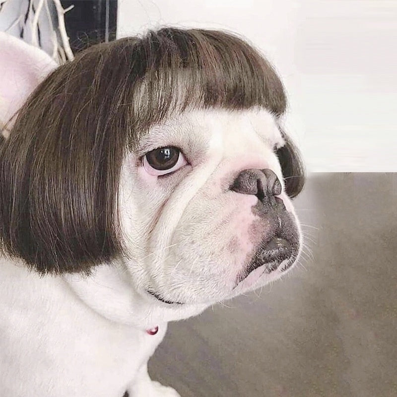 Silk Feline Fashion Wig