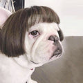 Silk Feline Fashion Wig