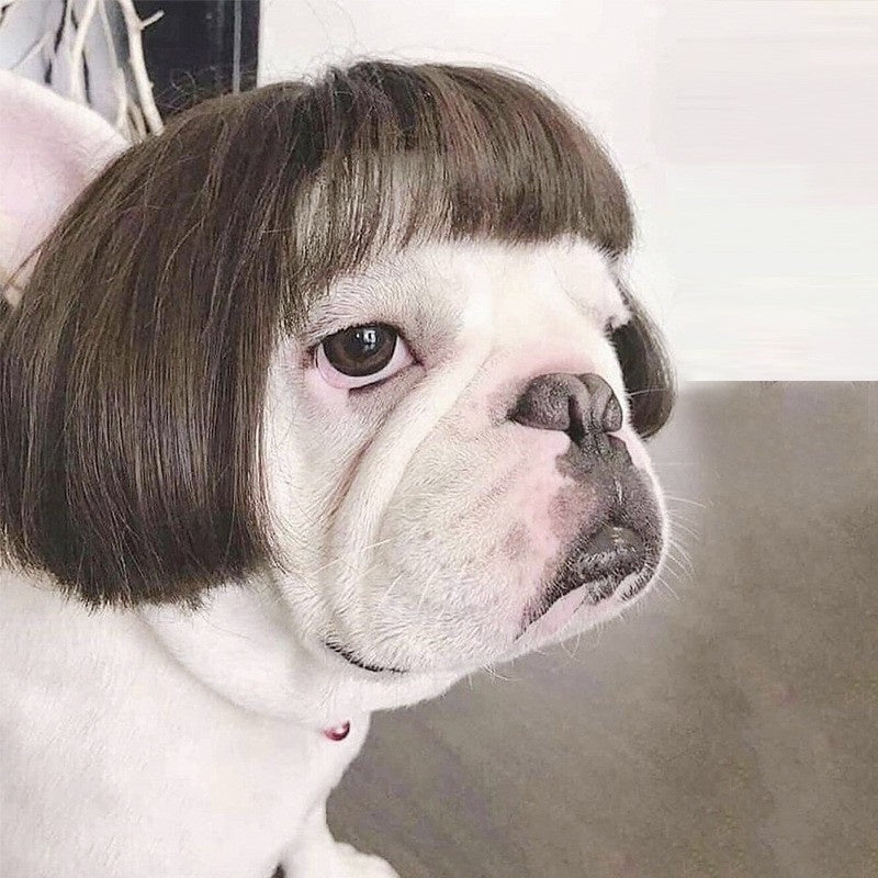 Silk Feline Fashion Wig